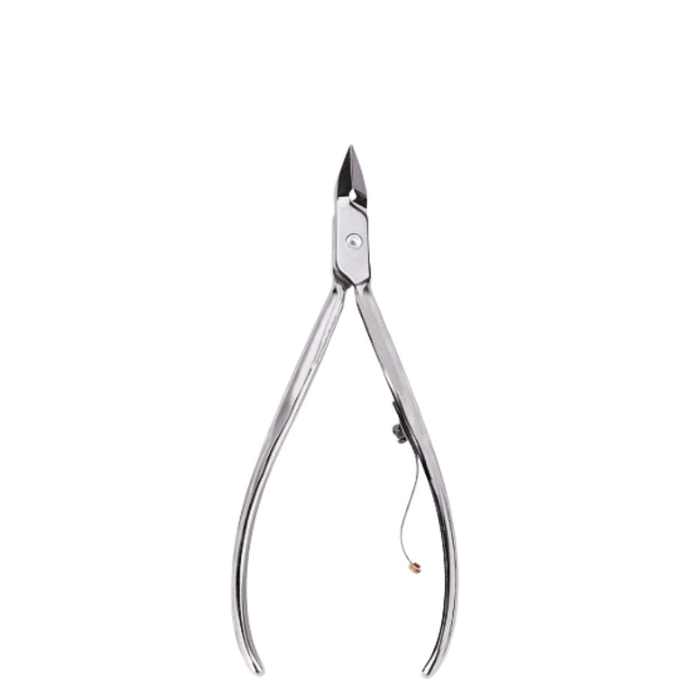 image_252311a4-1460-4440-94b0-a44556e8f09e