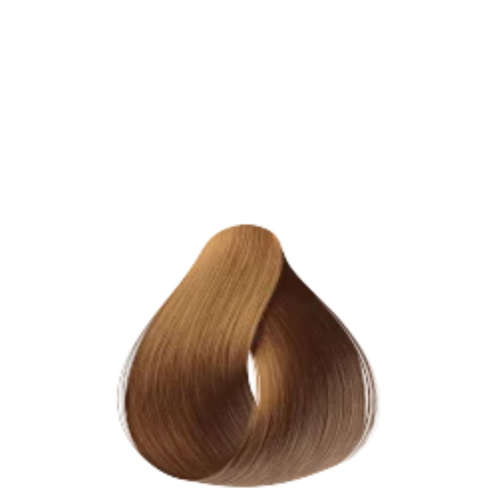 image_57881957-626b-416f-9ccc-82761a804b7f