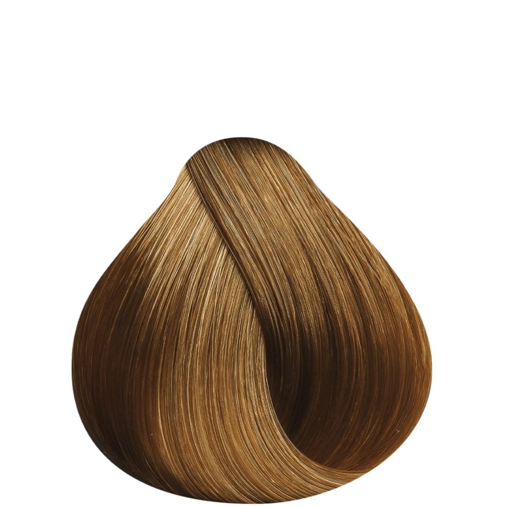 image_461fae26-5f4b-42d6-949b-07a09d5f5372