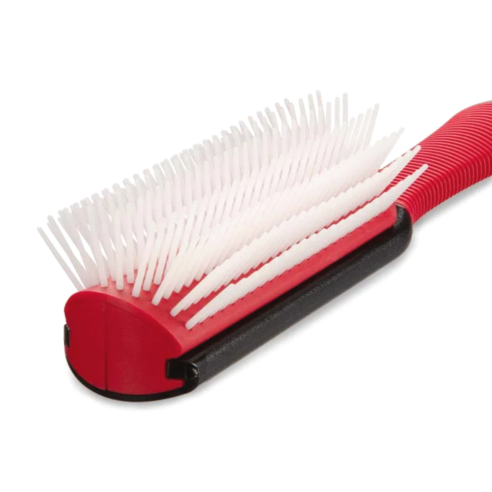 image_732bb981-8001-46e1-a5a5-5db253188d79