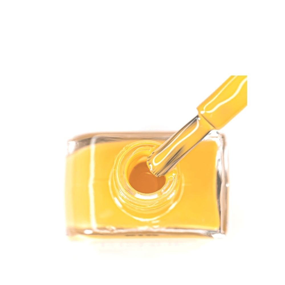 image_971cb282-1a48-4310-8f83-be97da9b93ec