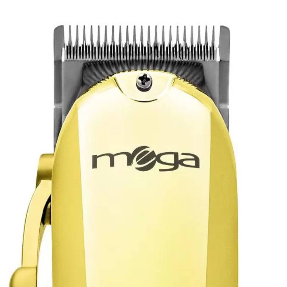 image_3ebf207d-4076-4814-aed9-80b45a264471