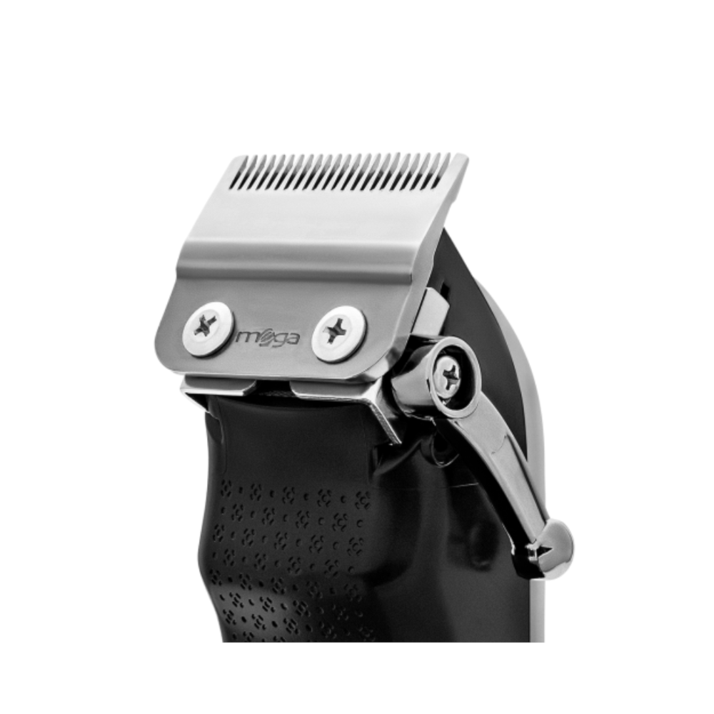 image_aa1e8274-591f-49e9-aa5b-c554f753cd36