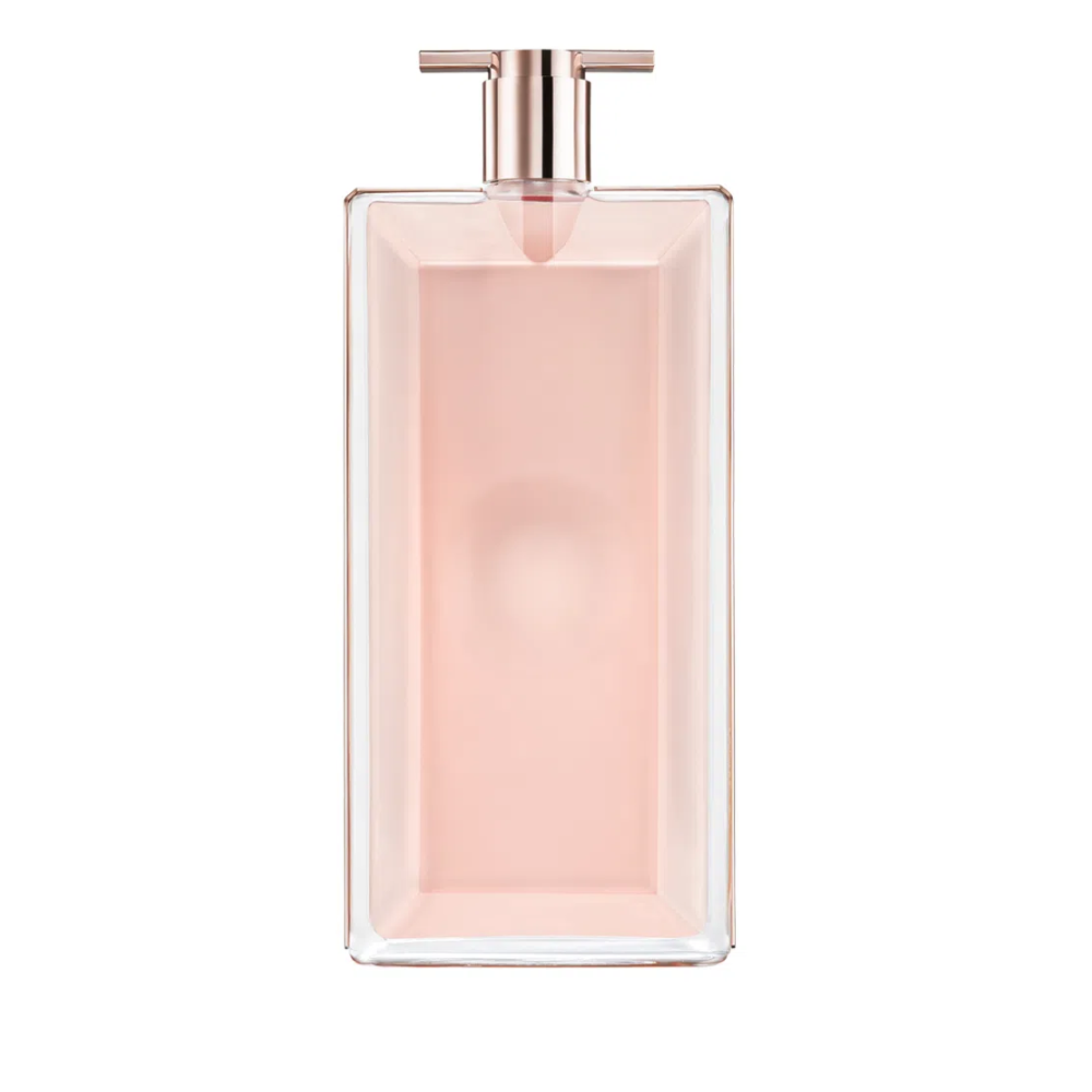 image_875dc3fe-a199-46b5-8f03-12842f2649e8