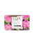 Flor de Lotus