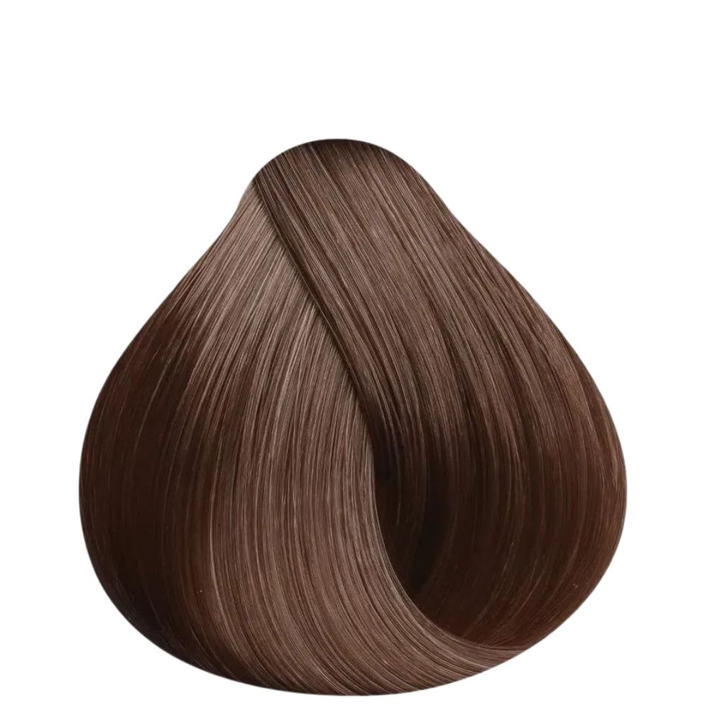 image_81961ea8-0cdb-4475-96ca-10b937fe001d